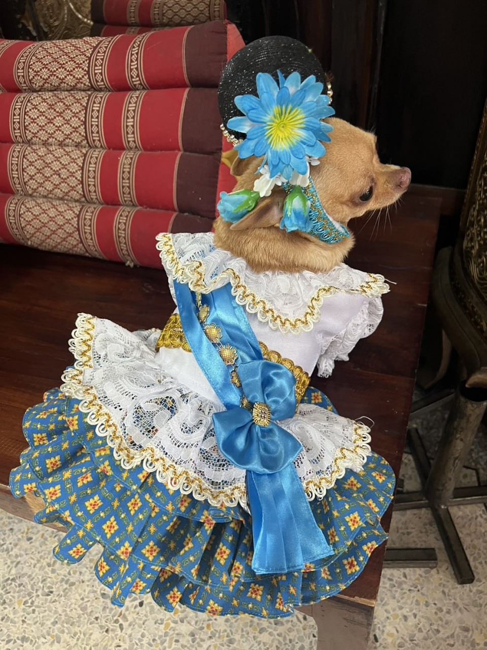 น้องนุช 981-7